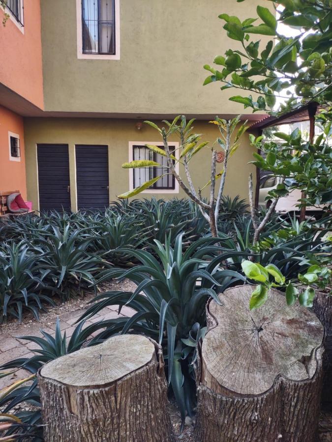 Tu casa Oaxaca... Hotel Exterior foto